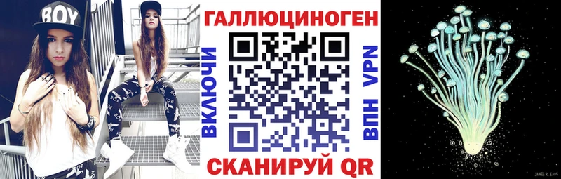 Галлюциногенные грибы Psilocybe  даркнет официальный сайт  Баксан 